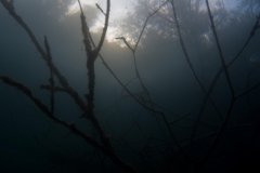 Ausfahrt_04_07_2016 (11)