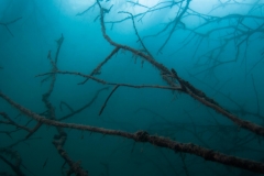 Ausfahrt_04_07_2016 (12)