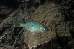 Ausfahrt_04_07_2016 (13)