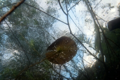 Ausfahrt_04_07_2016 (14)