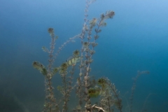 Ausfahrt_04_07_2016 (8)