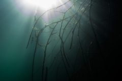 Ausfahrt_04_07_2016 (9)