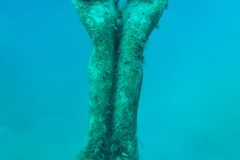 IMG_5567