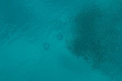 IMG_5593
