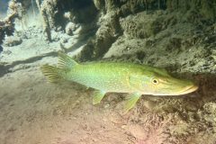 IMG_0360