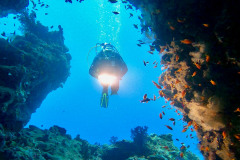 diveandtravel_coraya-bay_17