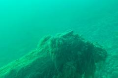 dtc_04092026_7