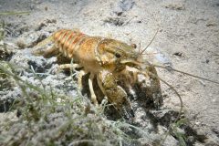 IMG_5201
