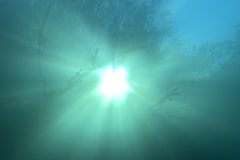 IMG_3085