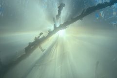 IMG_3086