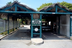 DSC00943