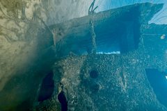 diveandtravel.de - Bonaire 2026