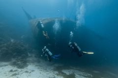 diveandtravel.de - Bonaire 2026