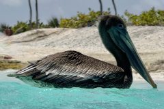 diveandtravel.de - Bonaire 2026