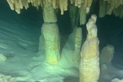 diveandtravel.de - Bonaire 2026