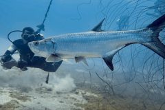 diveandtravel.de - Bonaire 2026