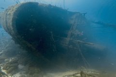 diveandtravel.de - Bonaire 2026