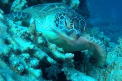 DCIM\100GOPRO\GOPR1901.JPG