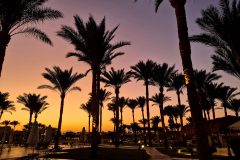 diveandtravel_coraya-bay_2025_076