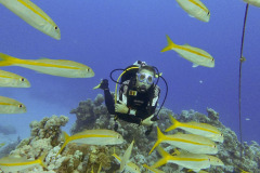 Marsa Alam - Coraya Bay