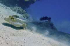 Marsa Alam - Coraya Bay
