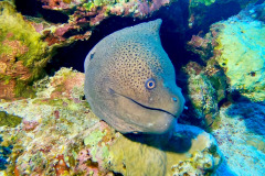 Marsa Alam - Coraya Bay