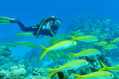 Marsa Alam - Coraya Bay