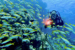 Marsa Alam - Coraya Bay