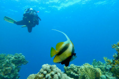 Marsa Alam - Coraya Bay