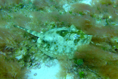 P1270696a