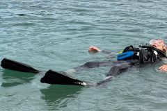 DiveAndTravel - Schnuppertauchen & Refresher-Kurs