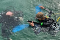 DiveAndTravel - Schnuppertauchen & Refresher-Kurs