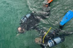 DiveAndTravel - Schnuppertauchen & Refresher-Kurs