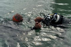 DiveAndTravel - Schnuppertauchen & Refresher-Kurs