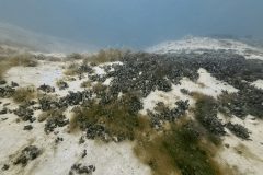 DiveAndTravel - Schnuppertauchen & Refresher-Kurs