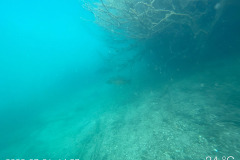 diveandtravel_310722_15