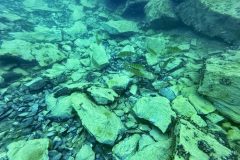 IMG_7807