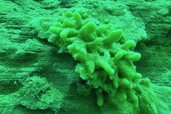 diveandtravel_010