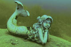 diveandtravel_011