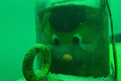 diveandtravel_013