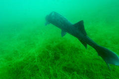 diveandtravel_017