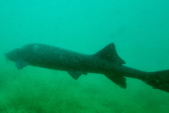 diveandtravel_018