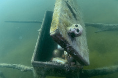diveandtravel_029