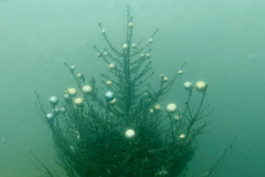 diveandtravel_032
