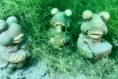 diveandtravel_033