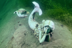 diveandtravel_036