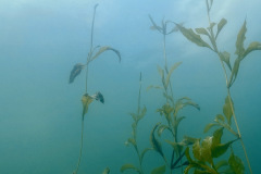 diveandtravel_039