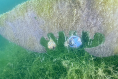 diveandtravel_040