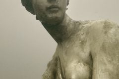 IMG_4592