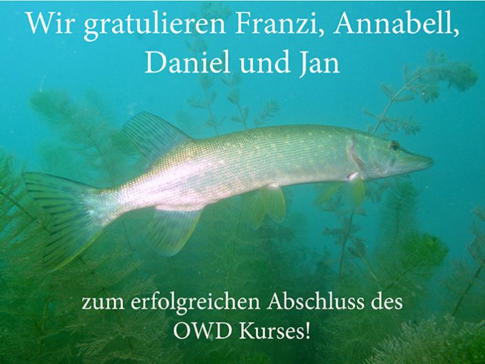 abschluss